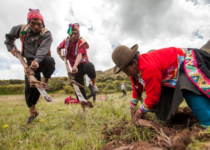 Caminata –tradiciones – desarrollo sostenible – comunidad – paisaje andino – fauna – local – aire libre – aplacas – paisaje – llamas –valle sagrado del cusco – animales – fauna – viaje – disfrute – largas caminatas en la sierra peruana – aventura - comunidad – actividades al aire libre - lodge - hostel - actividades - sierra – peru – lagos – paisajes – sierra peruana – sierra cusqueña – aire libre – lamay – camino inca – tradiciones – almuerzo típico – alimentos producidos por la comunidad de Lamay – tejido – arte de tejido – aprender a tejer – costumbres – rol de la mujer andina – tejido andino - Hiking - traditions - sustainable development - community - Andean landscape - fauna - local - open air - aplacas - landscape - llamas - sacred valley of Cusco - animals - fauna - travel - enjoyment - long walks in the Peruvian highlands - adventure - community - activities outdoor - lodge - hostel - activities - sierra - peru - lakes - landscapes - sierra peruana - sierra cusqueña - open air - lamay - inca trail - traditions - typical lunch - foods produced by the community of Lamay - weaving - art of weaving - learn to weave - customs - role of the Andean woman - Andean weaving