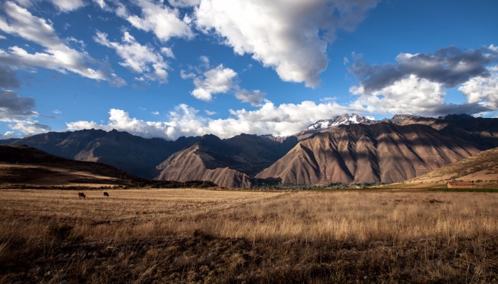 Valle sagrado inca – tahuantinsuyo – imperio inca – civilización – américa del sur – cusco – ruinas – cusco capital – corazón del cusco – valles fértiles – cultivo – cosecha – turismo – sistemas de riego – paisajes – alimentos típicos – rio vilcanota – ciudades coloniales – naturaleza – glaciares de la cordillera de los andres – clima cálido – turismo – picos andinos – increíbles vistas  - Sacred Valley Inca - Tahuantinsuyo - Inca Empire - Civilization - South America - Cusco - Ruins - Cusco - Capital of Cusco - Fertile valleys - Cultivation - Harvest - Tourism - Irrigation systems - Landscapes - Typical foods - Rio Vilcanota - Colonial cities - nature - glaciers of the Andes mountain range - warm climate - tourism - Andean peaks - incredible views - andean landscape 